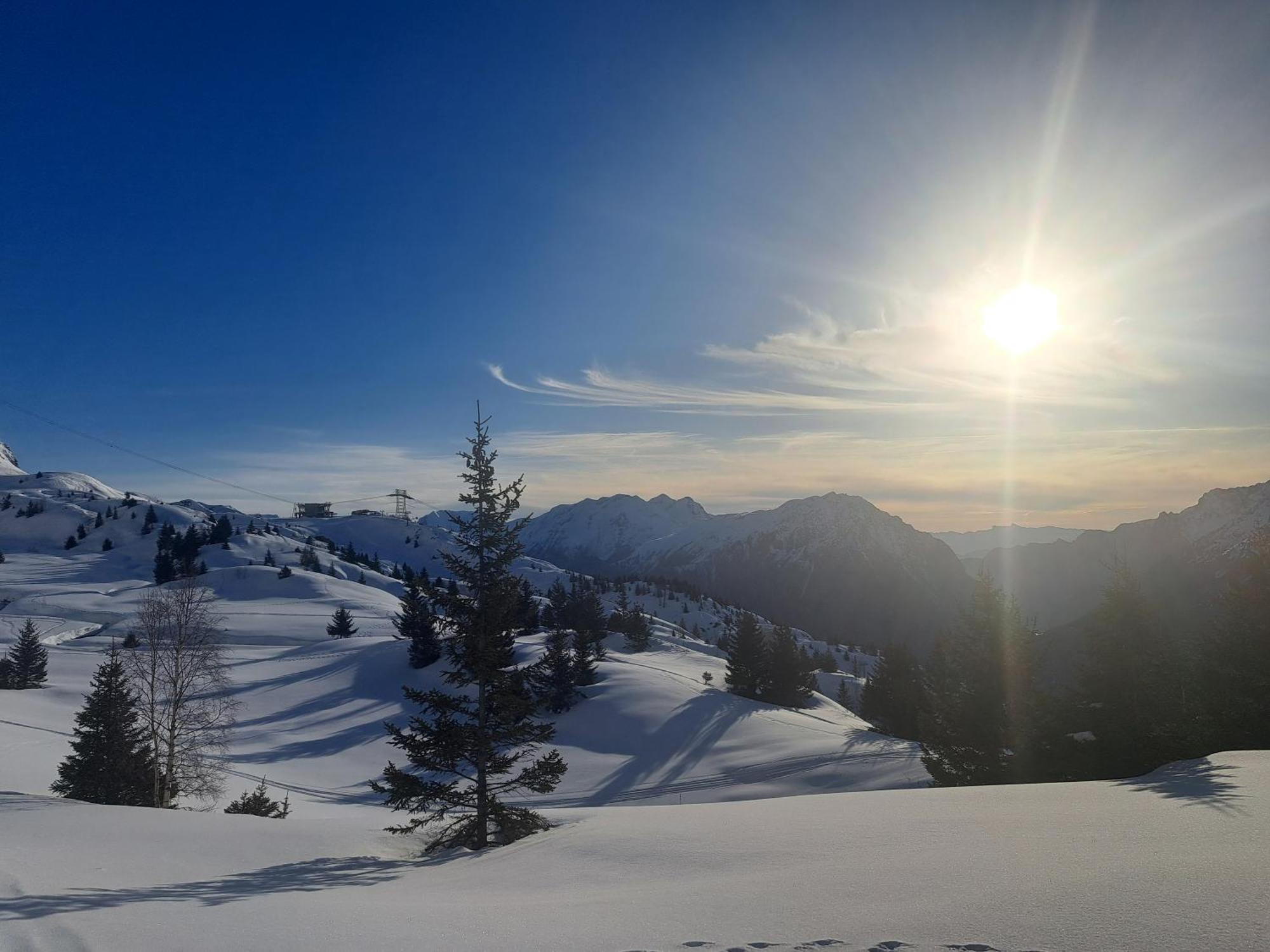 Chalet Augustin Villa Vaujany Dış mekan fotoğraf